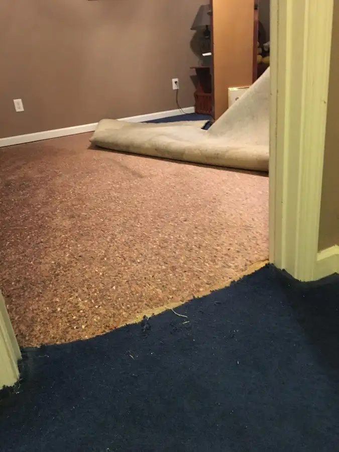 Carpet pad removal revealing water damage during Water Mitigation Services in Dundee